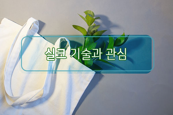 실크 기술과 관심