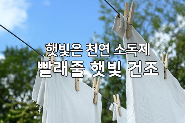 빨래줄 햇빛건조