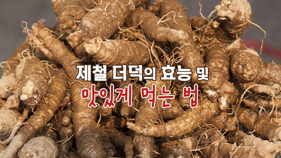 Read more about the article 제철 더덕의 효능 및 맛있게 먹는 법