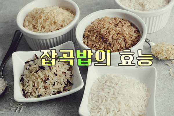 Read more about the article 잡곡밥의 효능 탐구